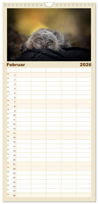 Eulen - schön und geheimnisvoll (CALVENDO Familienplaner 2026)