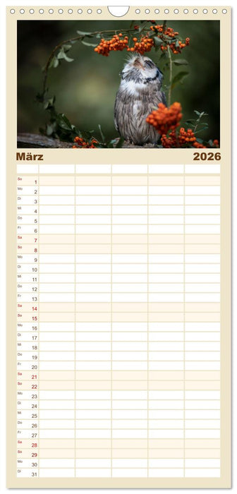 Eulen - schön und geheimnisvoll (CALVENDO Familienplaner 2026)