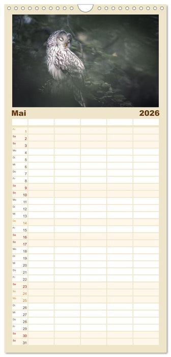 Eulen - schön und geheimnisvoll (CALVENDO Familienplaner 2026)