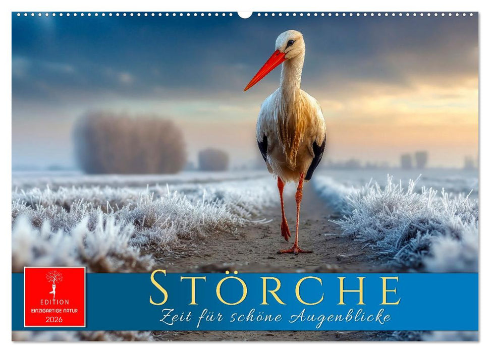 Störche - Zeit für schöne Augenblicke (CALVENDO Wandkalender 2026)