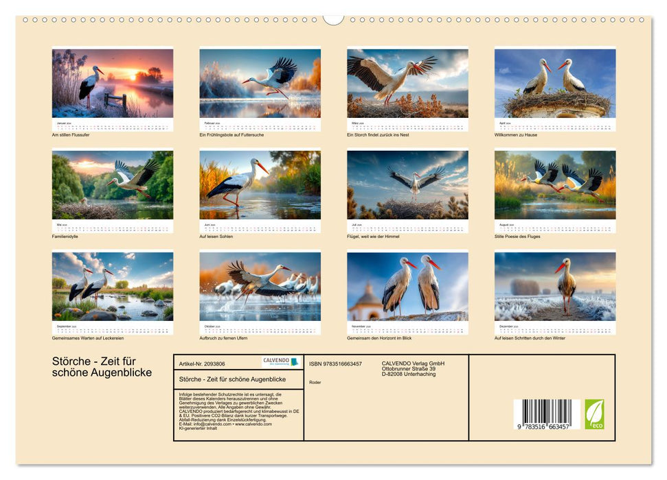 Störche - Zeit für schöne Augenblicke (CALVENDO Premium Wandkalender 2026)