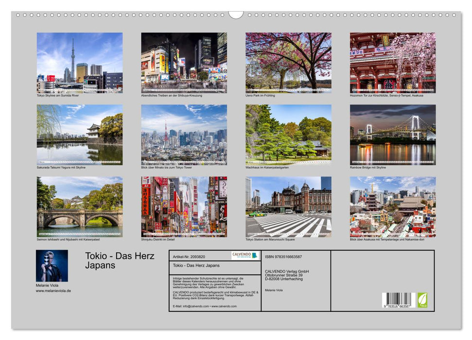 Tokio - Das Herz Japans (CALVENDO Wandkalender 2026)