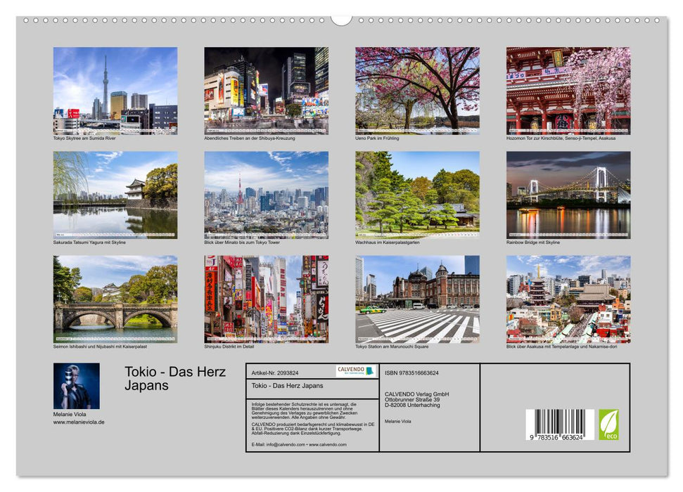 Tokio - Das Herz Japans (CALVENDO Premium Wandkalender 2026)