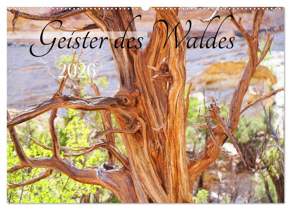 Geisterbäume (CALVENDO Wandkalender 2026)