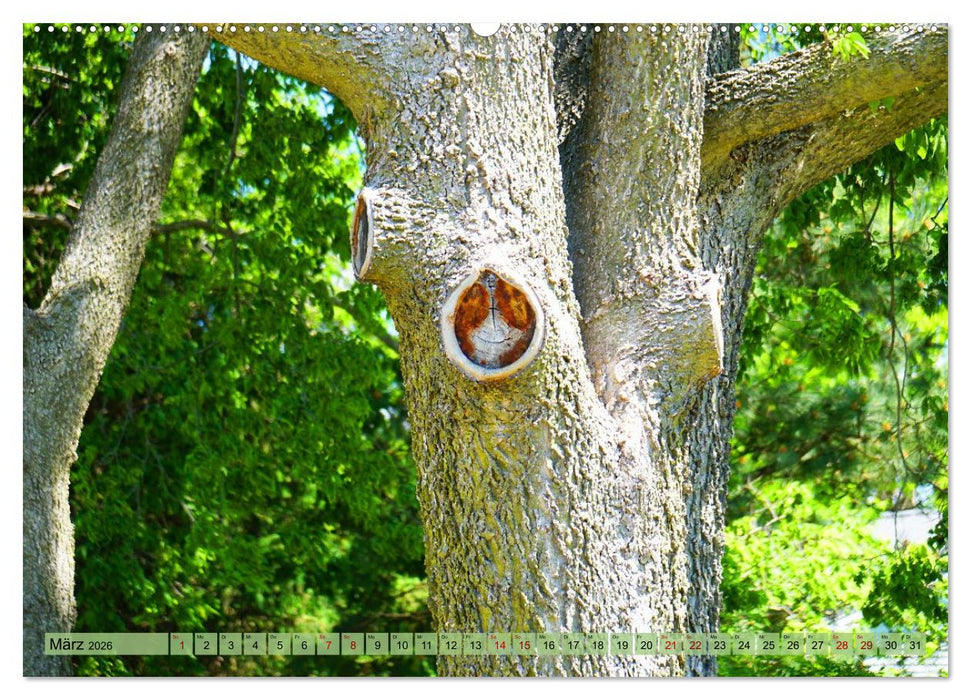 Geisterbäume (CALVENDO Wandkalender 2026)