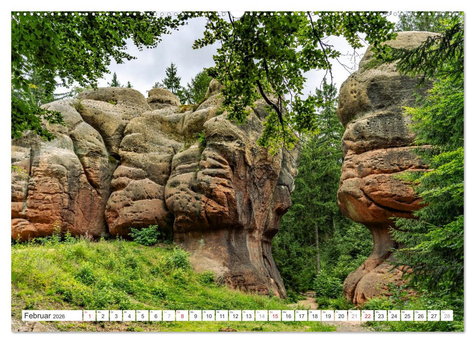 Deutschlands Regionen - die Lausitz (CALVENDO Wandkalender 2026)