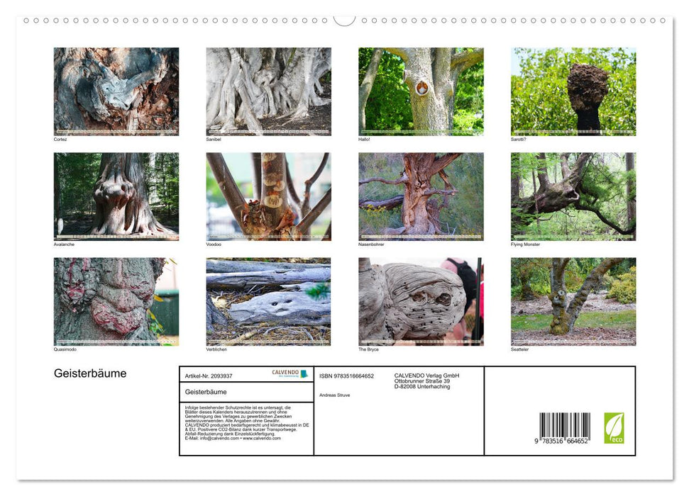 Geisterbäume (CALVENDO Premium Wandkalender 2026)