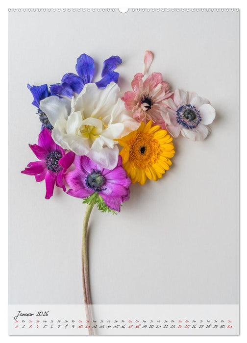 Zauberblüten (CALVENDO Wandkalender 2026)