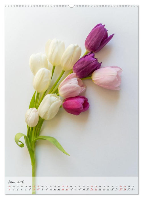 Zauberblüten (CALVENDO Wandkalender 2026)