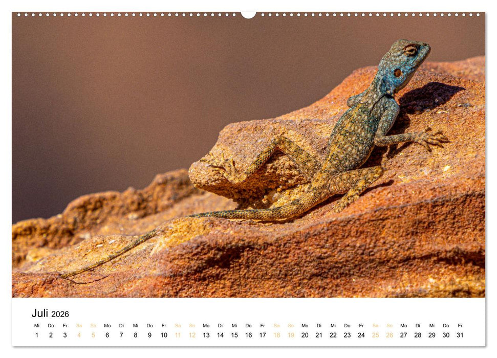 Jordanien - Land zwischen Antike und Moderne (CALVENDO Premium Wandkalender 2026)