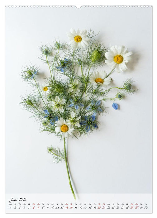 Zauberblüten (CALVENDO Premium Wandkalender 2026)