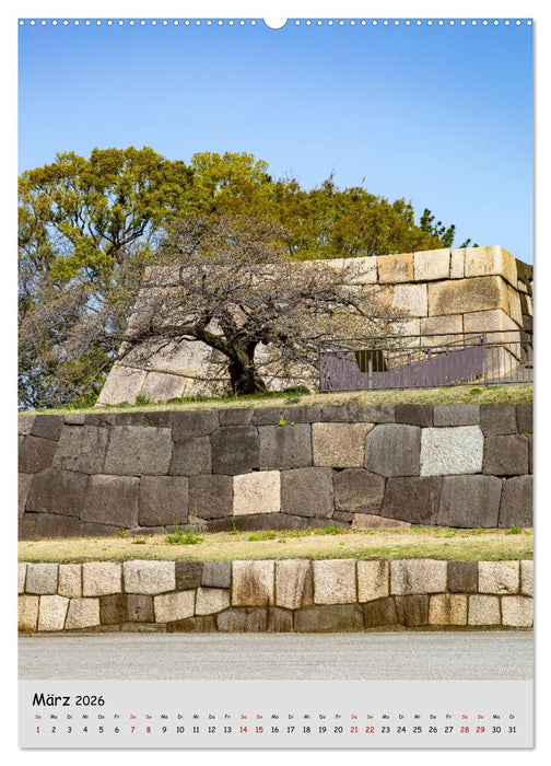 Tokio - Facetten einer Weltstadt (CALVENDO Wandkalender 2026)