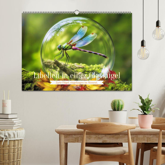 Libellen in einer Glaskugel (CALVENDO Wandkalender 2026)