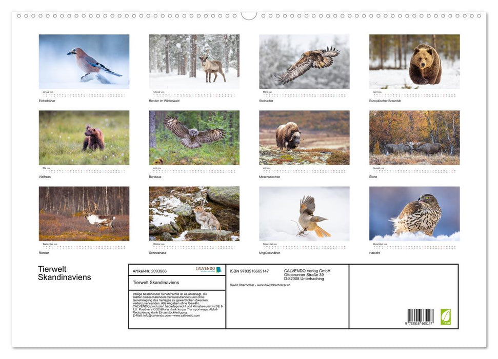 Tierwelt Skandinaviens (CALVENDO Wandkalender 2026)