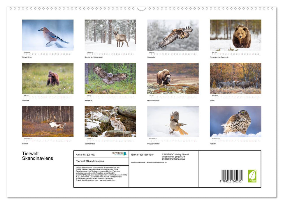 Tierwelt Skandinaviens (CALVENDO Premium Wandkalender 2026)