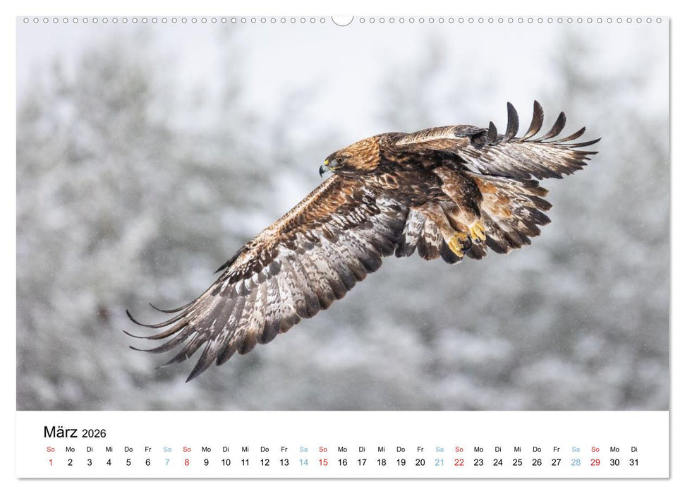 Tierwelt Skandinaviens (CALVENDO Premium Wandkalender 2026)