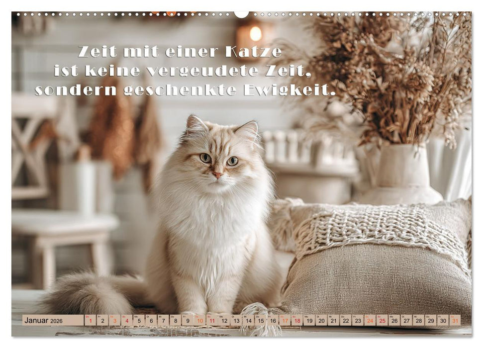 Miau-velous Pfotenpoesie (CALVENDO Premium Wandkalender 2026)
