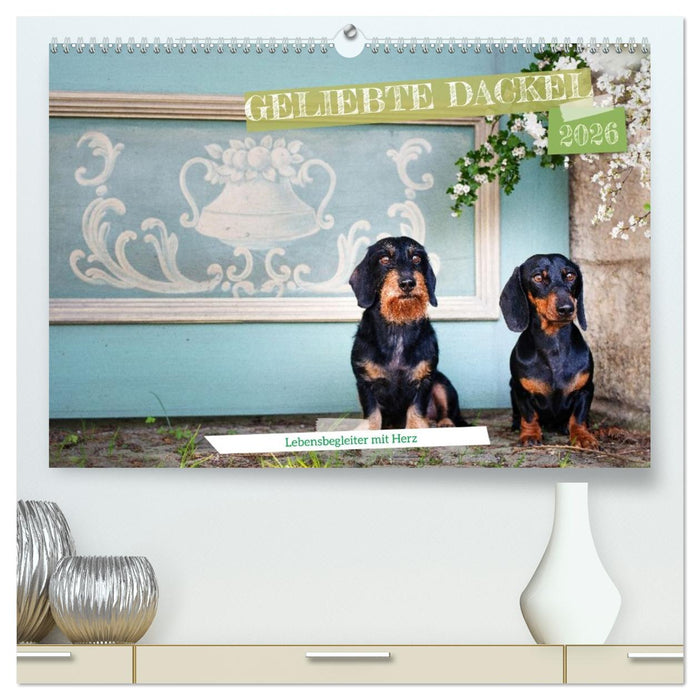 Geliebte Dackel (CALVENDO Premium Wandkalender 2026)