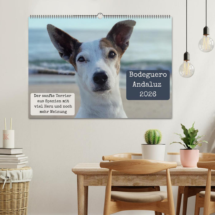 Ratonero Bodeguero Andaluz (CALVENDO Wandkalender 2026)