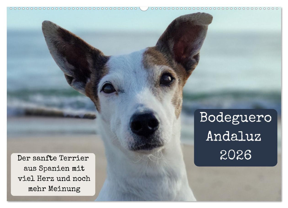 Ratonero Bodeguero Andaluz (CALVENDO Wandkalender 2026)