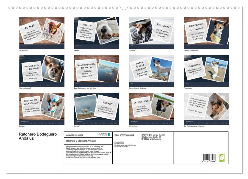 Ratonero Bodeguero Andaluz (CALVENDO Wandkalender 2026)