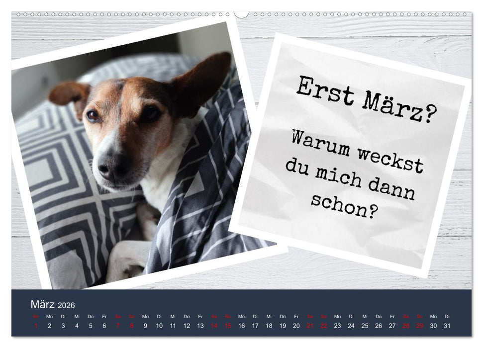 Ratonero Bodeguero Andaluz (CALVENDO Wandkalender 2026)