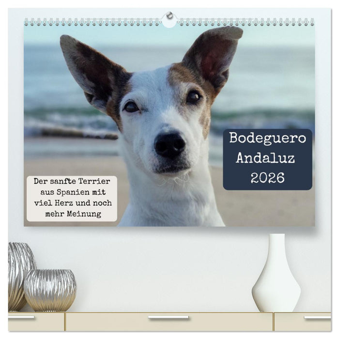 Ratonero Bodeguero Andaluz (CALVENDO Premium Wandkalender 2026)