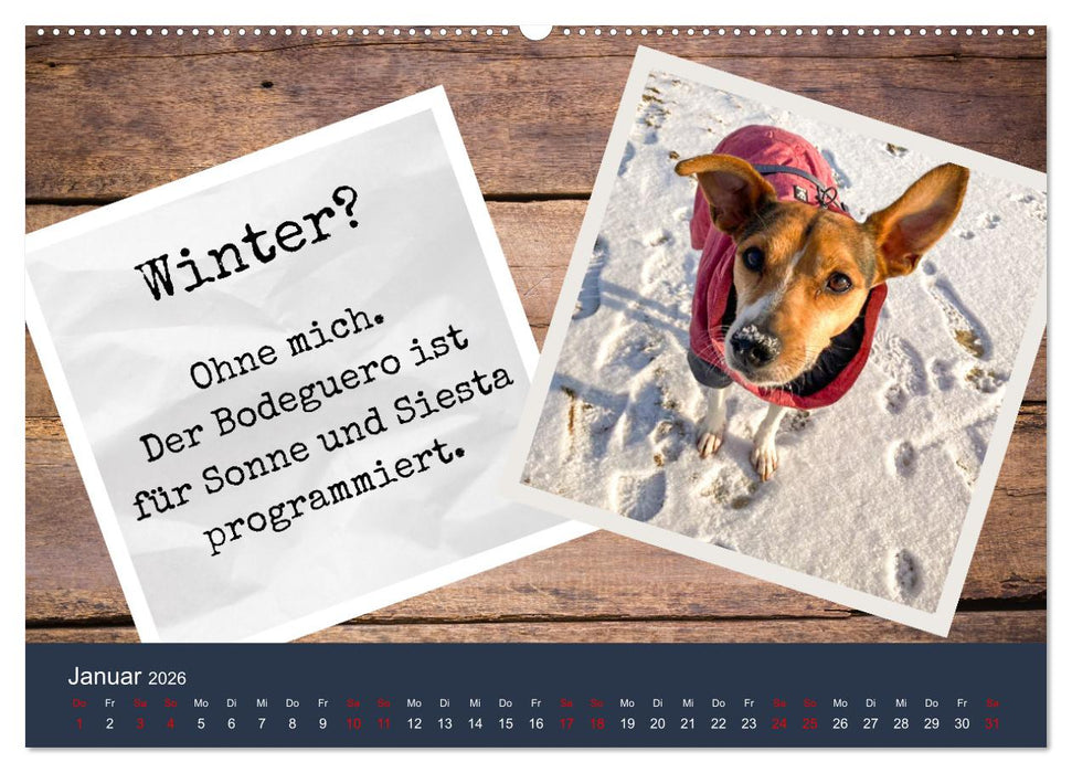 Ratonero Bodeguero Andaluz (CALVENDO Premium Wandkalender 2026)