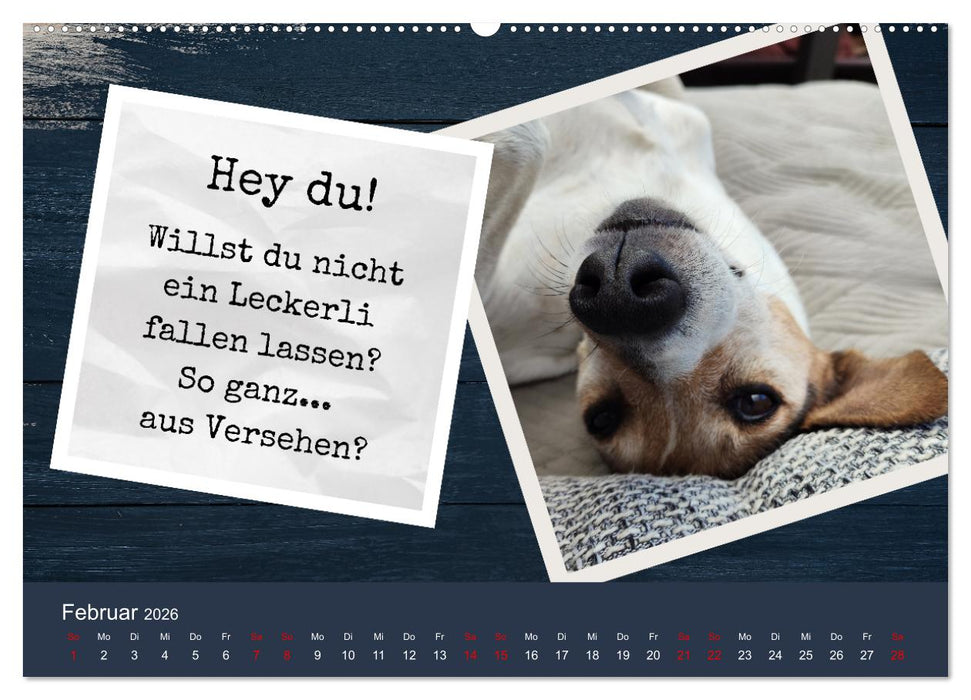 Ratonero Bodeguero Andaluz (CALVENDO Premium Wandkalender 2026)