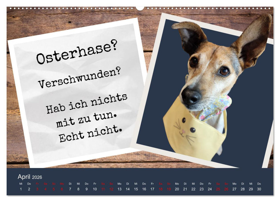 Ratonero Bodeguero Andaluz (CALVENDO Premium Wandkalender 2026)