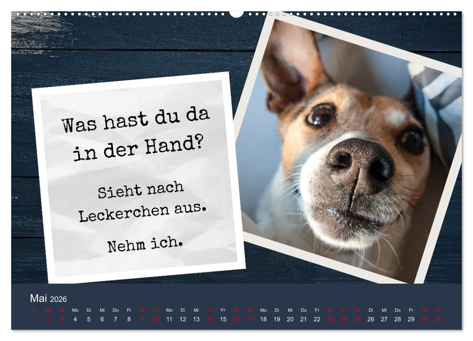 Ratonero Bodeguero Andaluz (CALVENDO Premium Wandkalender 2026)