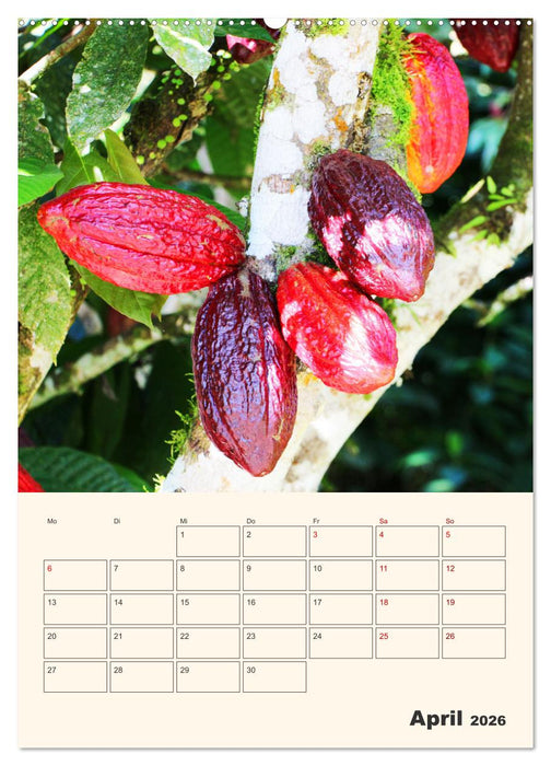 Ecuador - Terminplaner (CALVENDO Premium Wandkalender 2026)
