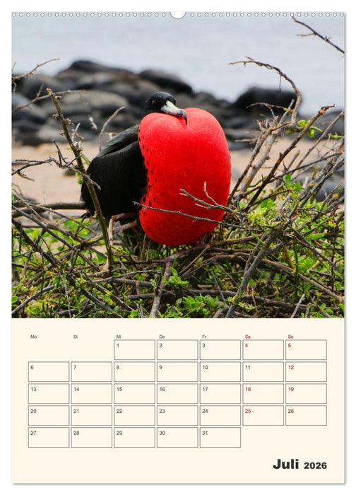 Ecuador - Terminplaner (CALVENDO Premium Wandkalender 2026)