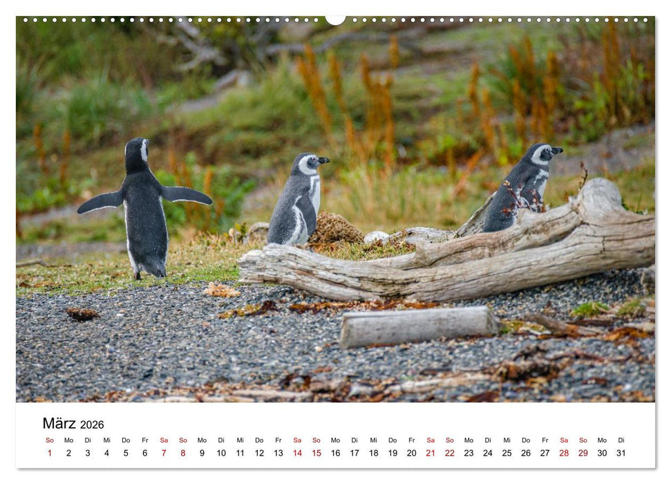 Patagonien, Tierra del Fuego: Am Rand der Welt (CALVENDO Wandkalender 2026)