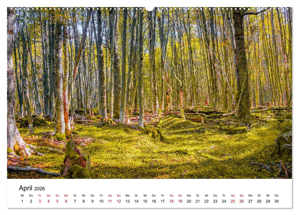 Patagonien, Tierra del Fuego: Am Rand der Welt (CALVENDO Wandkalender 2026)