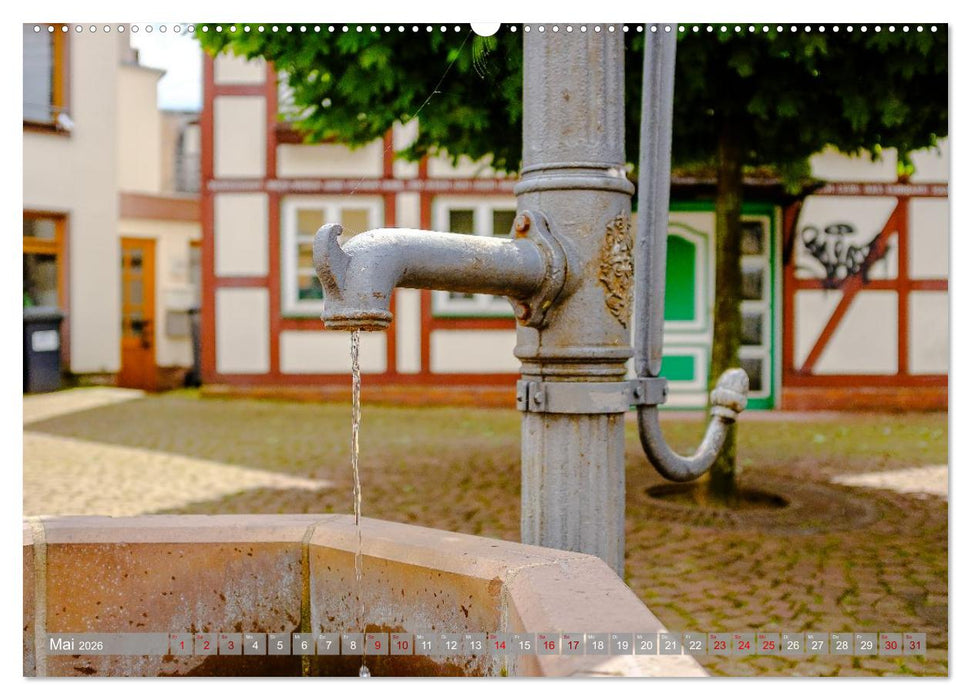 Ein Blick auf Holzminden an der Weser (CALVENDO Premium Wandkalender 2026)