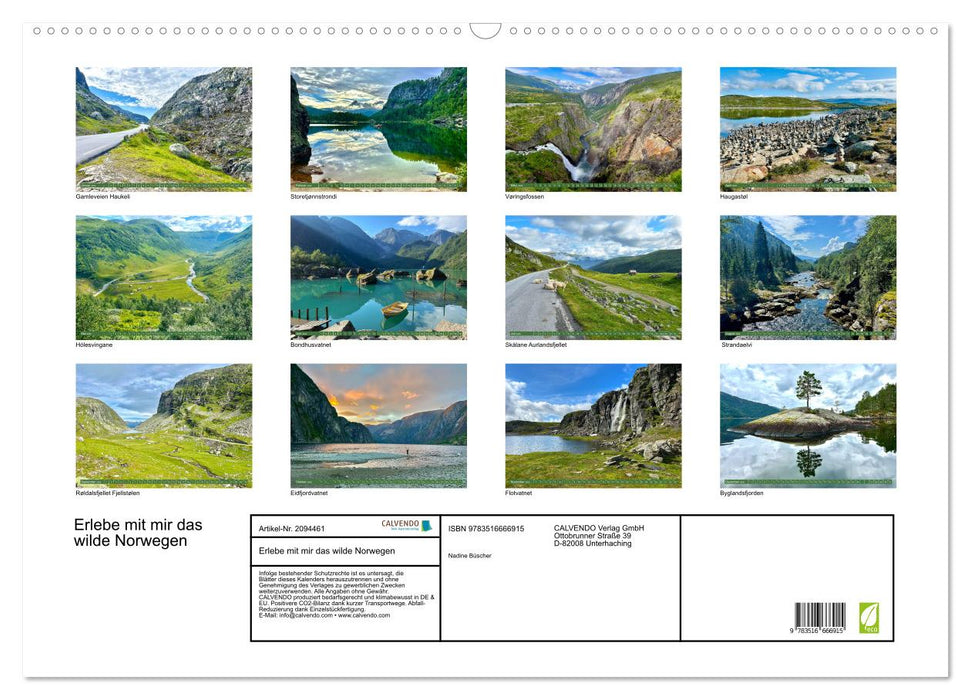 Erlebe mit mir das wilde Norwegen (CALVENDO Wandkalender 2026)