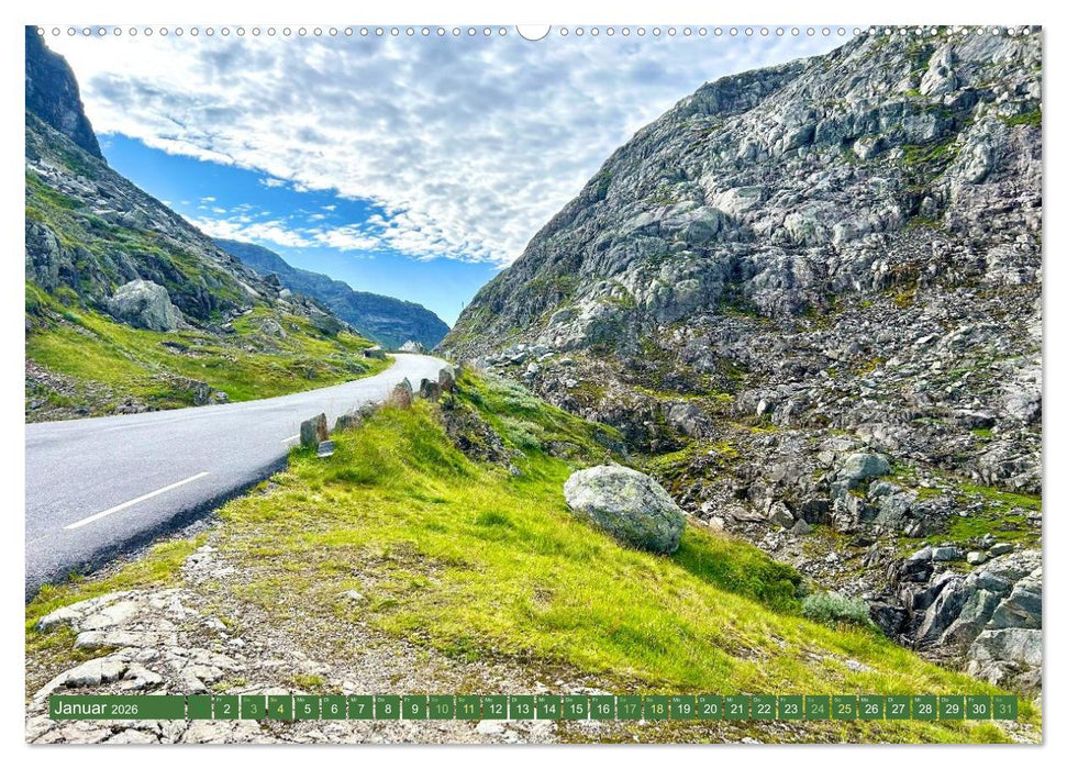 Erlebe mit mir das wilde Norwegen (CALVENDO Wandkalender 2026)