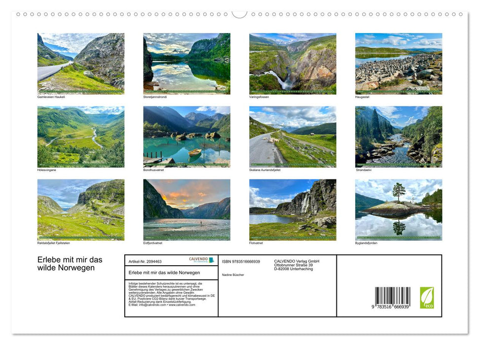 Erlebe mit mir das wilde Norwegen (CALVENDO Premium Wandkalender 2026)