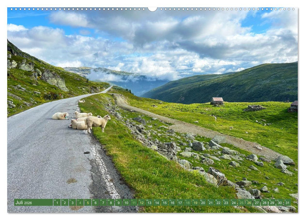 Erlebe mit mir das wilde Norwegen (CALVENDO Premium Wandkalender 2026)