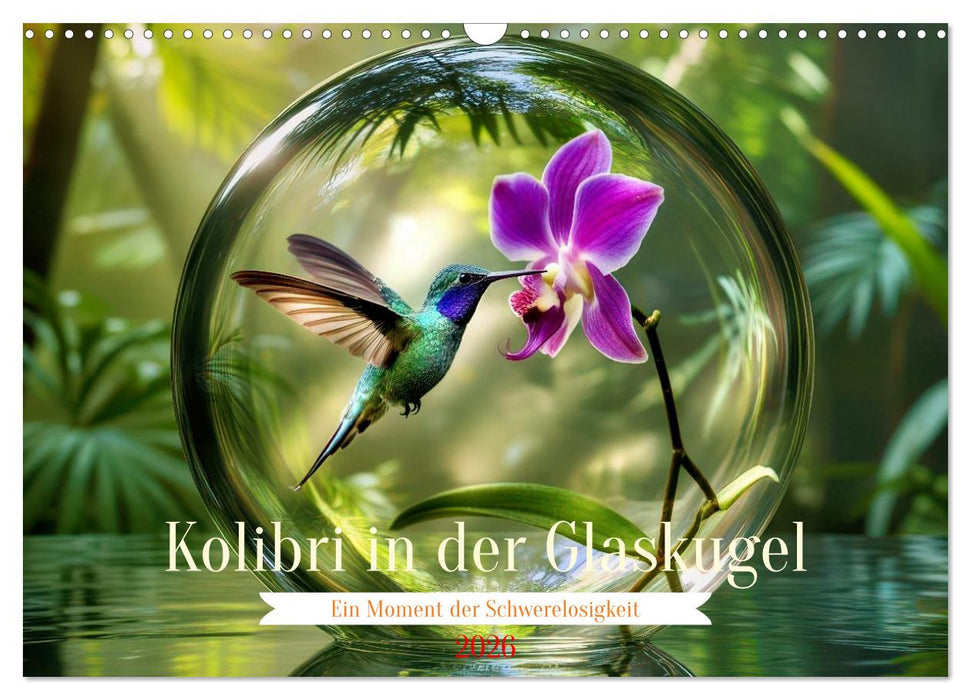 Kolibri in der Glaskugel (CALVENDO Wandkalender 2026)