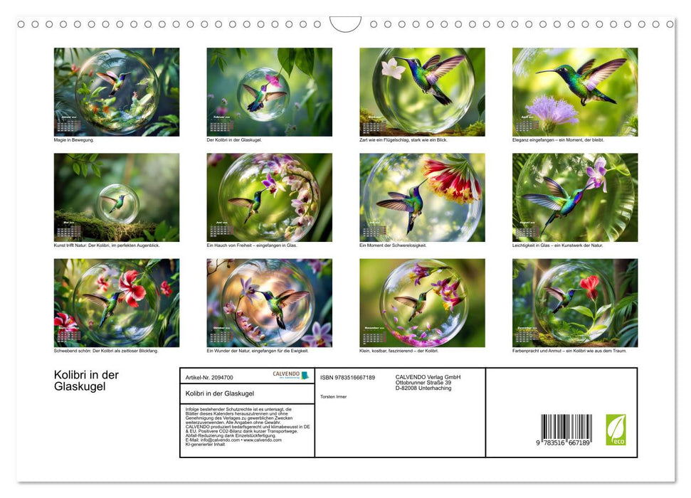 Kolibri in der Glaskugel (CALVENDO Wandkalender 2026)