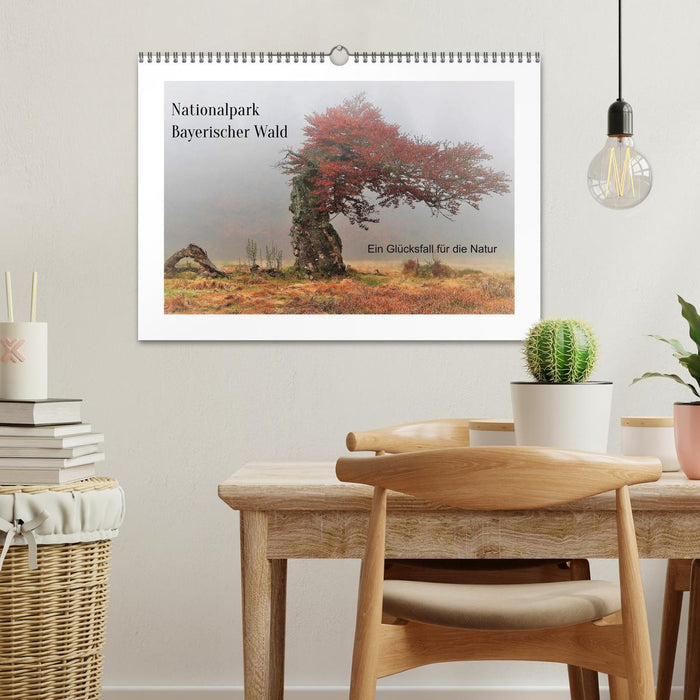 Ein Glücksfall für die Natur- Nationalpark Bayerischer Wald (CALVENDO Wandkalender 2026)