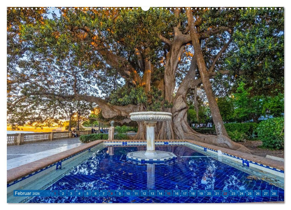 Ein Herz für Cadiz (CALVENDO Wandkalender 2026)