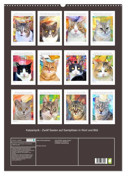 Katzenlyrik - Zwölf Seelen auf Samtpfoten in Wort und Bild (CALVENDO Wandkalender 2026)