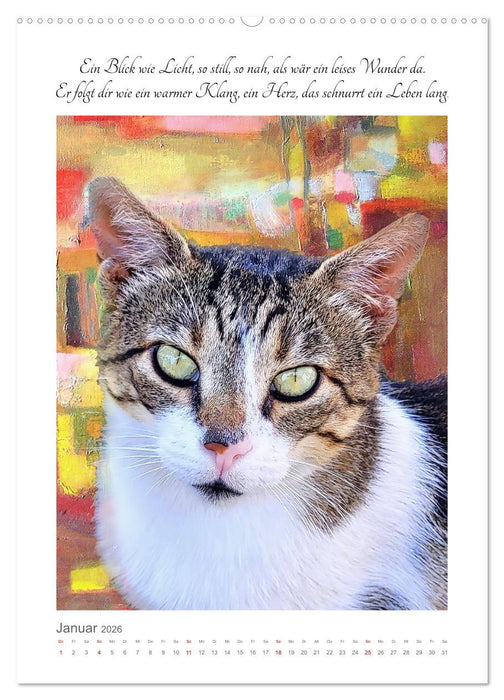 Katzenlyrik - Zwölf Seelen auf Samtpfoten in Wort und Bild (CALVENDO Wandkalender 2026)