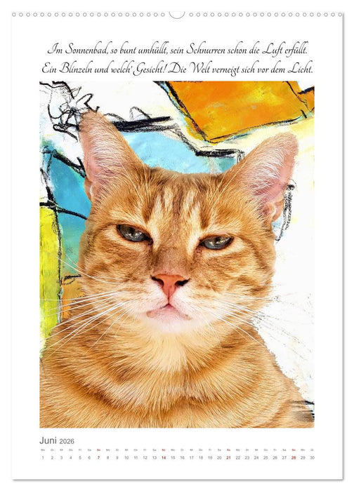 Katzenlyrik - Zwölf Seelen auf Samtpfoten in Wort und Bild (CALVENDO Wandkalender 2026)