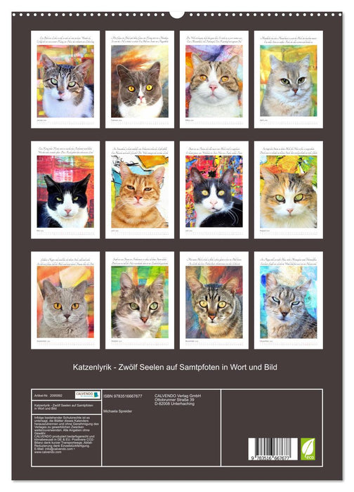 Katzenlyrik - Zwölf Seelen auf Samtpfoten in Wort und Bild (CALVENDO Premium Wandkalender 2026)