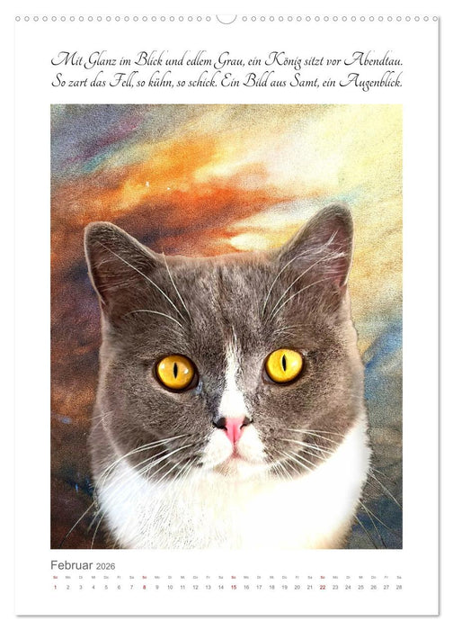 Katzenlyrik - Zwölf Seelen auf Samtpfoten in Wort und Bild (CALVENDO Premium Wandkalender 2026)