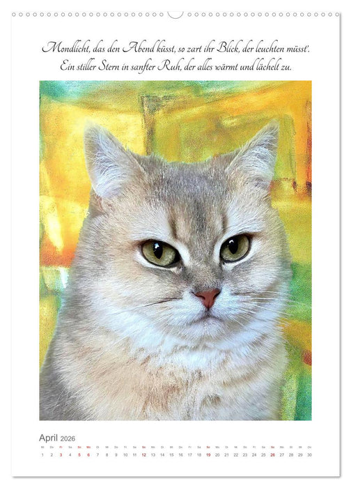 Katzenlyrik - Zwölf Seelen auf Samtpfoten in Wort und Bild (CALVENDO Premium Wandkalender 2026)